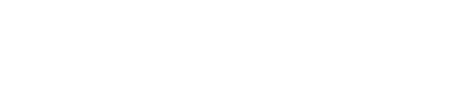 Meravili Logo